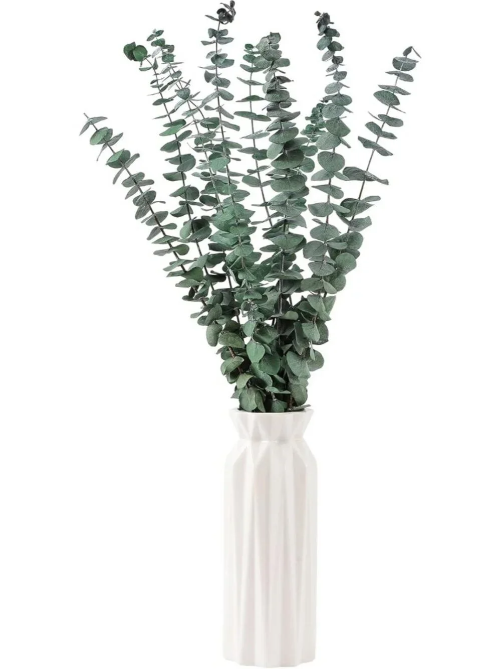 10 Pcs Dried Eucalyptus Stems 17